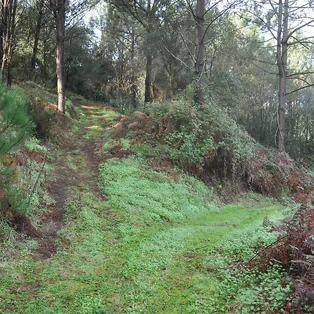Country house Quinta Do Bom Vento