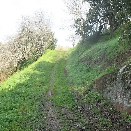 Quinta Do Bom Vento Kır Evi Óbidos