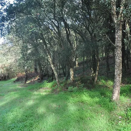 Kır Evi Quinta Do Bom Vento *