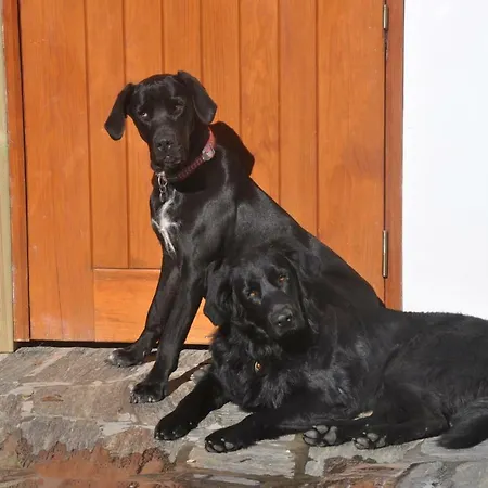 Quinta Do Bom Vento Landhuis *