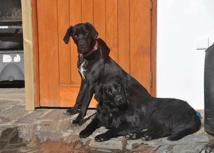 Quinta Do Bom Vento Casa di campagna *